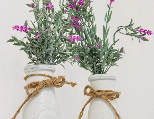 The شقة دوبروفينك